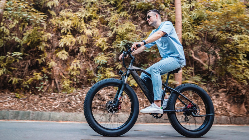 lankeleisi electric bike