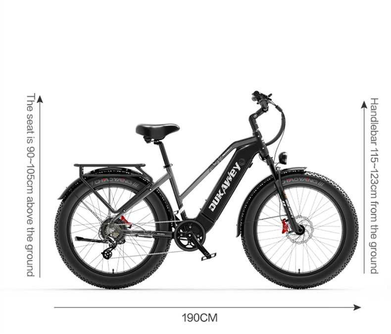 Dukawey DM530 Plus 1000W All Terrain Electric Bike - lankeleisi-bikes